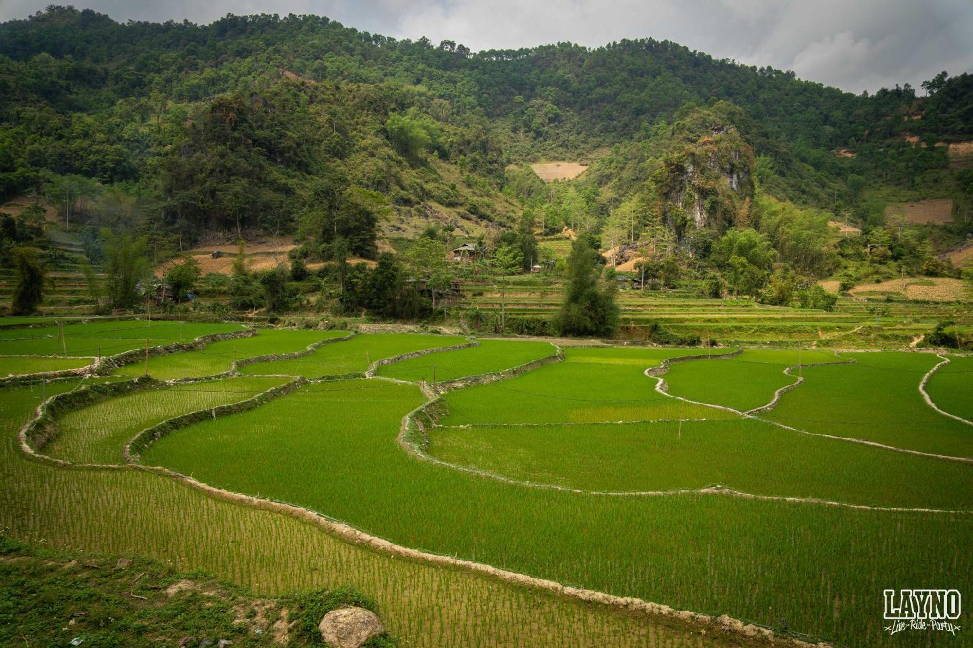 Lang Lap Quiri Hostel Ha Giang מראה חיצוני תמונה