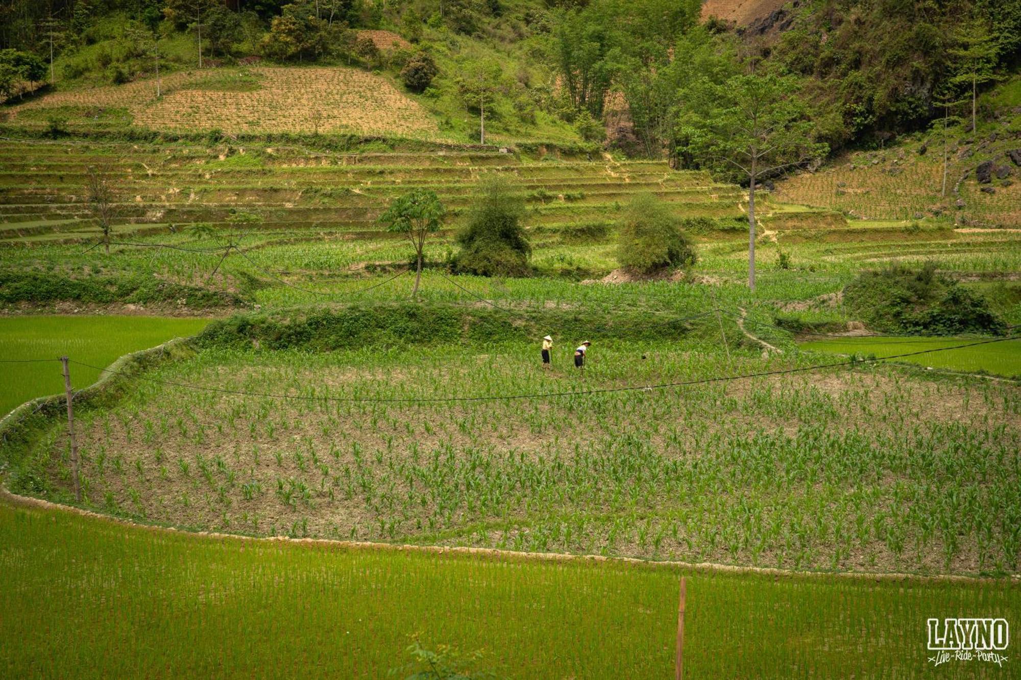 Lang Lap Quiri Hostel Ha Giang מראה חיצוני תמונה